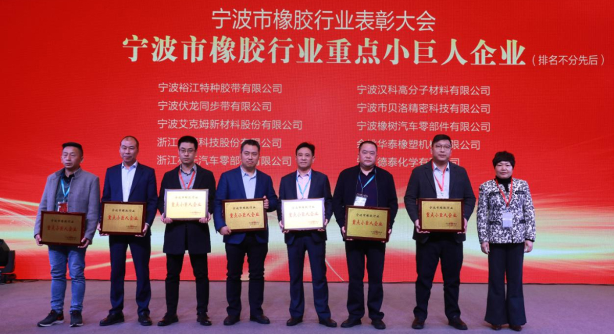 喜報 - 貝洛榮獲“寧波市橡膠行業優秀企業家”、“寧波市橡膠行業誠信企業”、“寧波市橡膠行業重點小巨人企業”獎項！